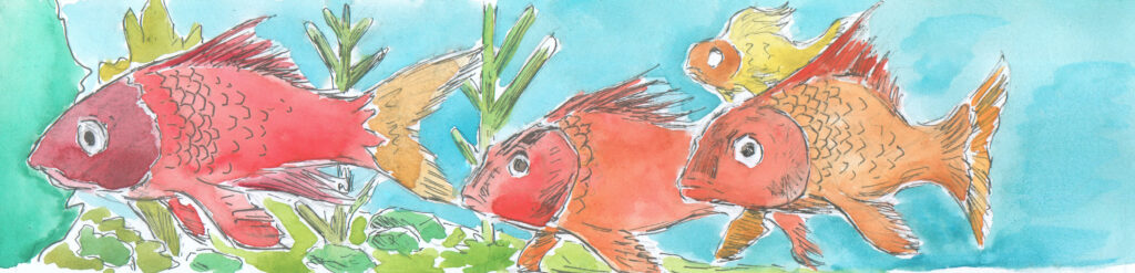 Dessin: poissons d'aquarium