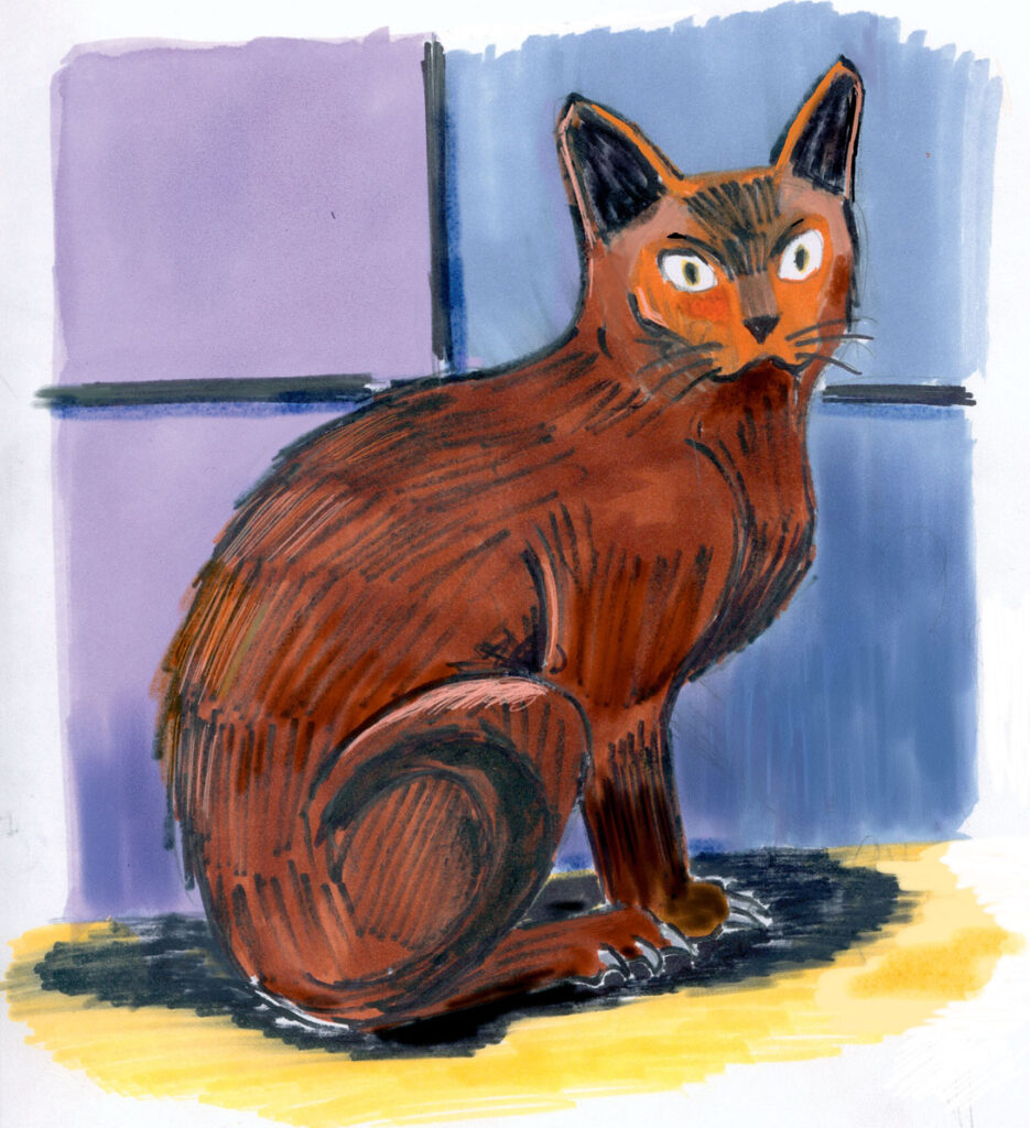 Dessin: ze kat in color