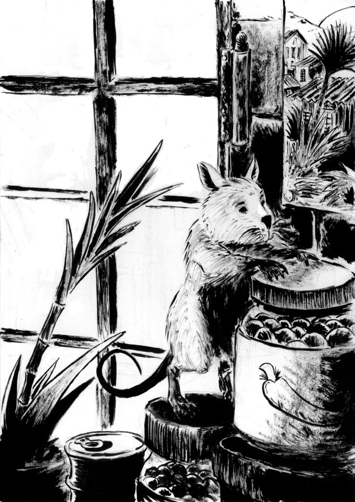 Dessin: petite souris blanche