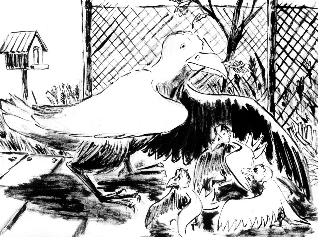 Oiseaux et oisillons