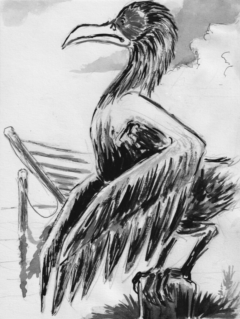 Dessin: Oiseau et barcasse